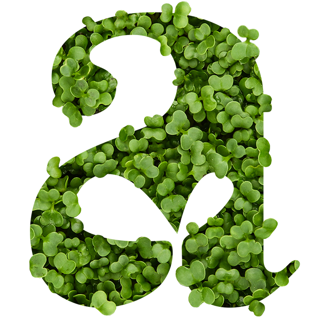Microgreens