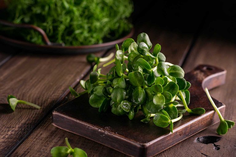 AleGreens-Microgreens