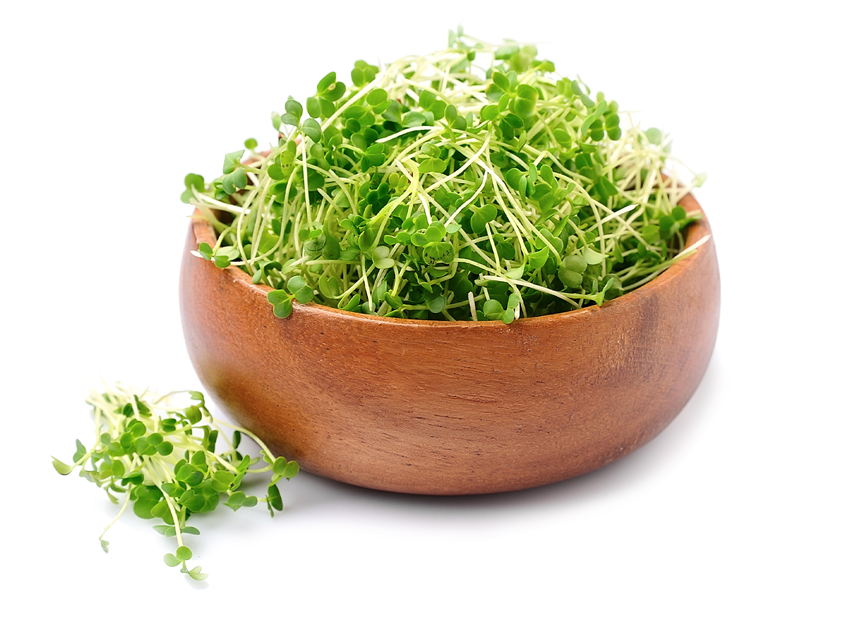 Microgreens
