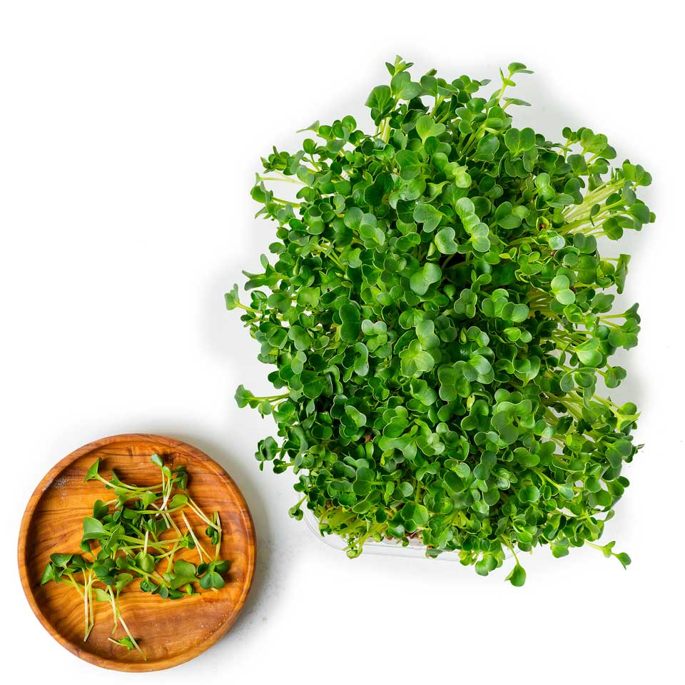 AleGreens