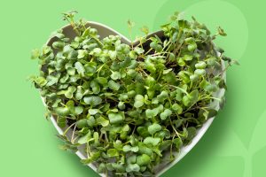 Beneficiile-microplantelor-pentru-sănătate